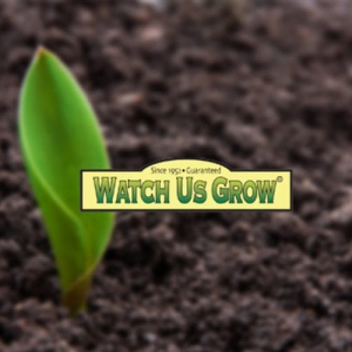 //allpurposeplantfood.com/ plant,watch,grow,