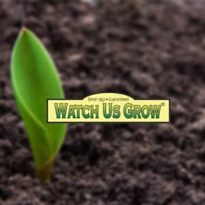 Watch Us Grow